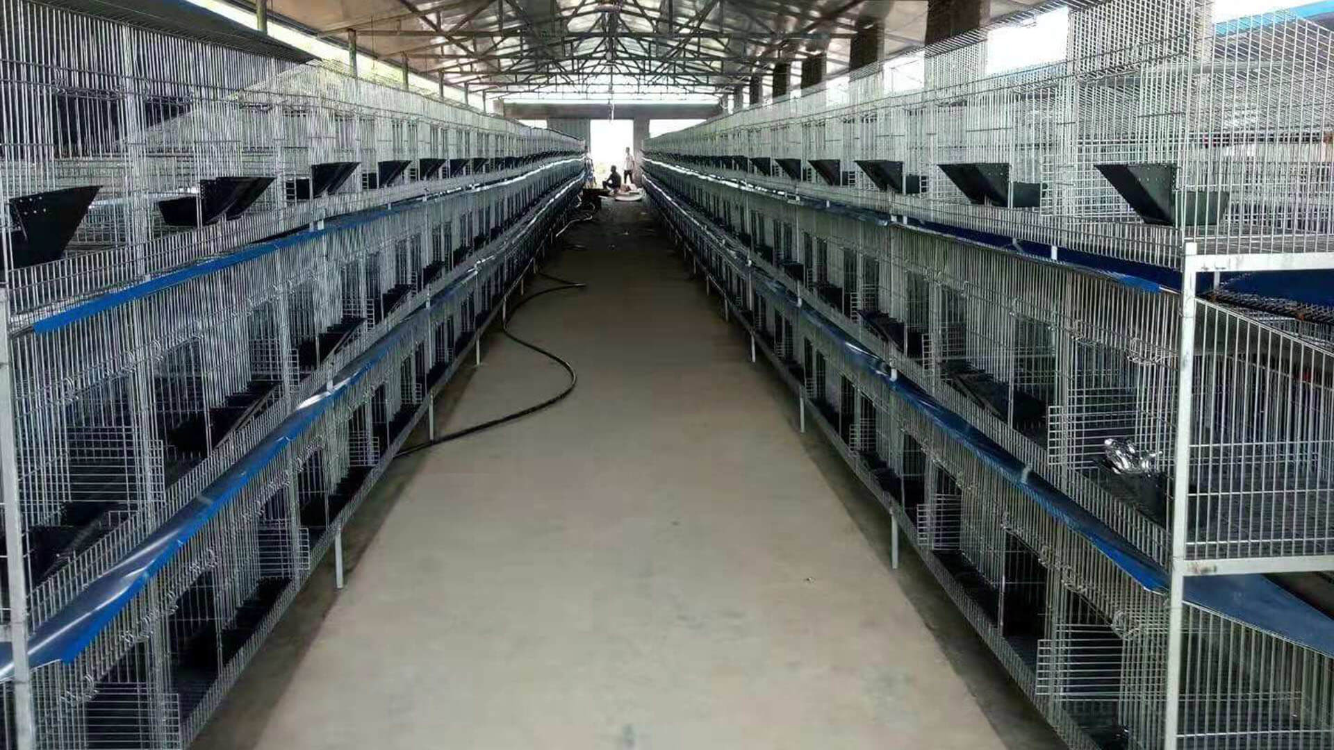 Rabbit Farming Equipment Supplier Hightop Rabbit Equipment
